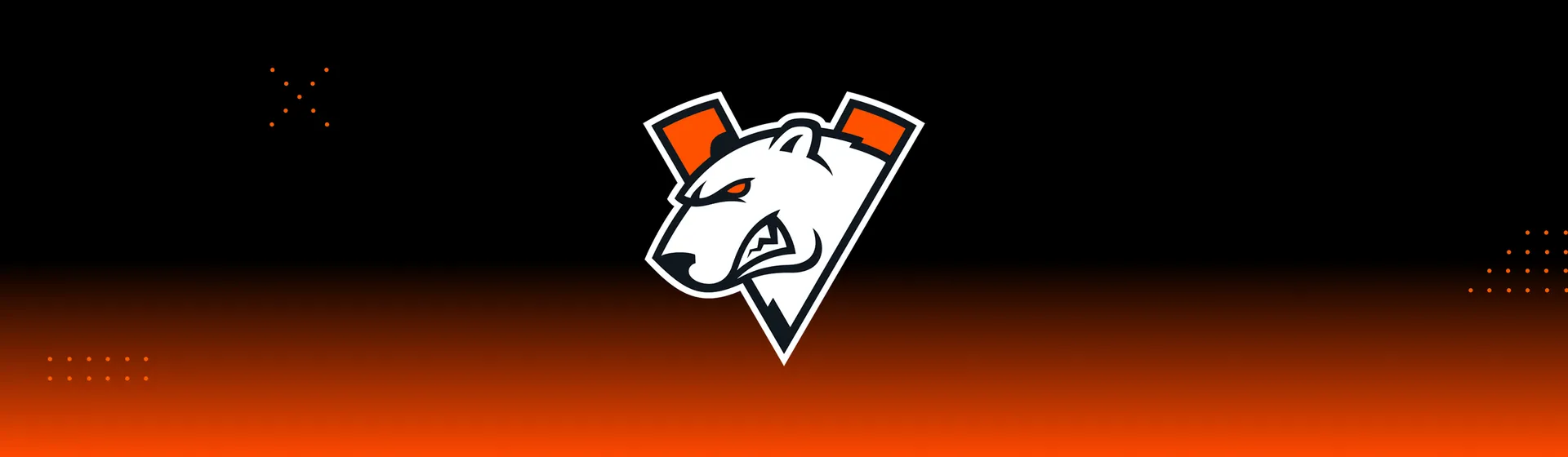 Virtus.pro Benches Fng